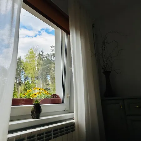 Przy Lesie Mazury - Caloroczne Apartment