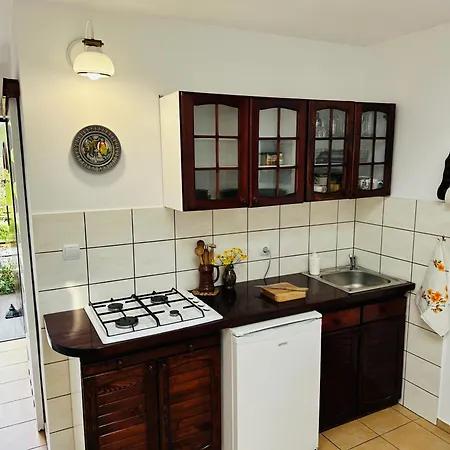 Przy Lesie Mazury - Caloroczne *