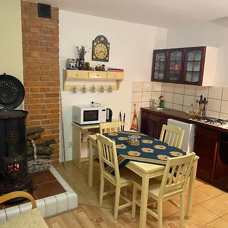 Przy Lesie Mazury - Caloroczne Apartment Lidzbark Welski