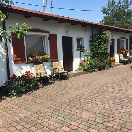 Przy Lesie Mazury - Caloroczne * Lidzbark Welski