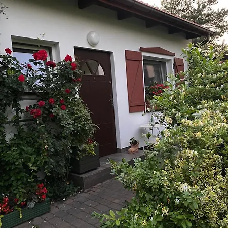 Przy Lesie Mazury - Caloroczne * Lidzbark Welski