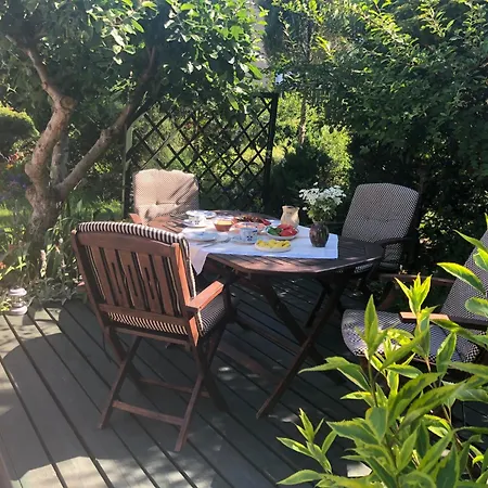 Przy Lesie Mazury - Caloroczne *