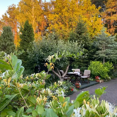 Przy Lesie Mazury - Caloroczne * Lidzbark Welski