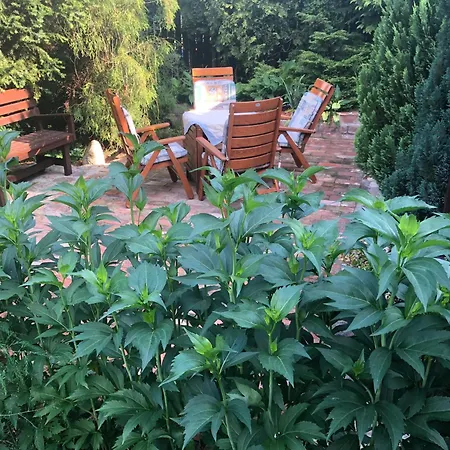 아파트 Przy Lesie Mazury - Caloroczne